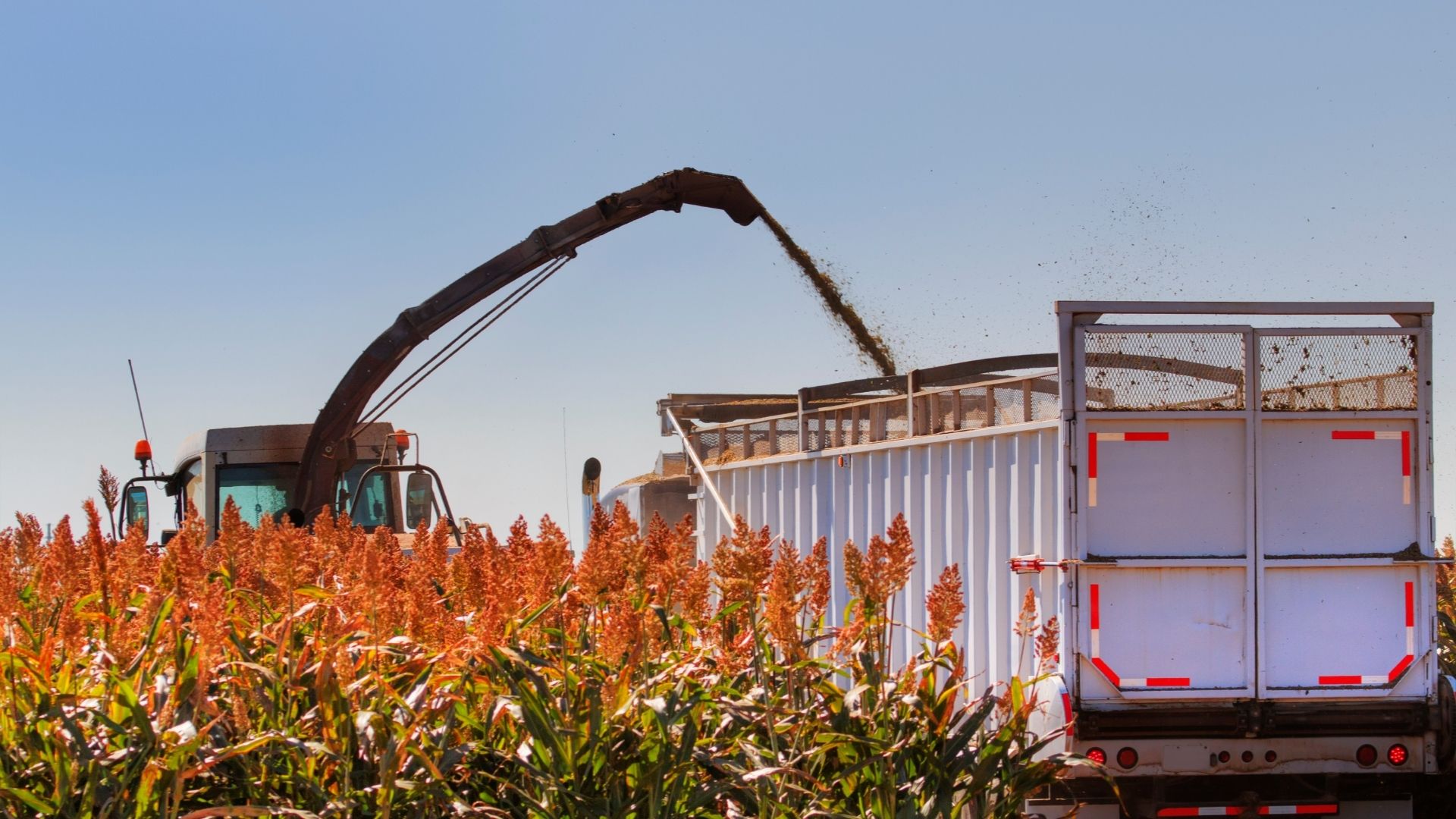 Servicios agrícolas